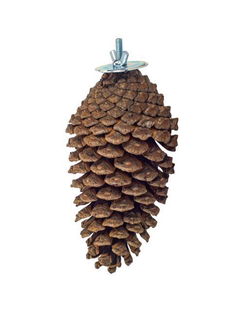 Back Zoo Nature Foraging Pine Cone - Vogelspeelgoed - per stuk
