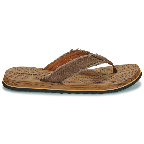 Skechers - TANTRIC - FRITZ Marrón