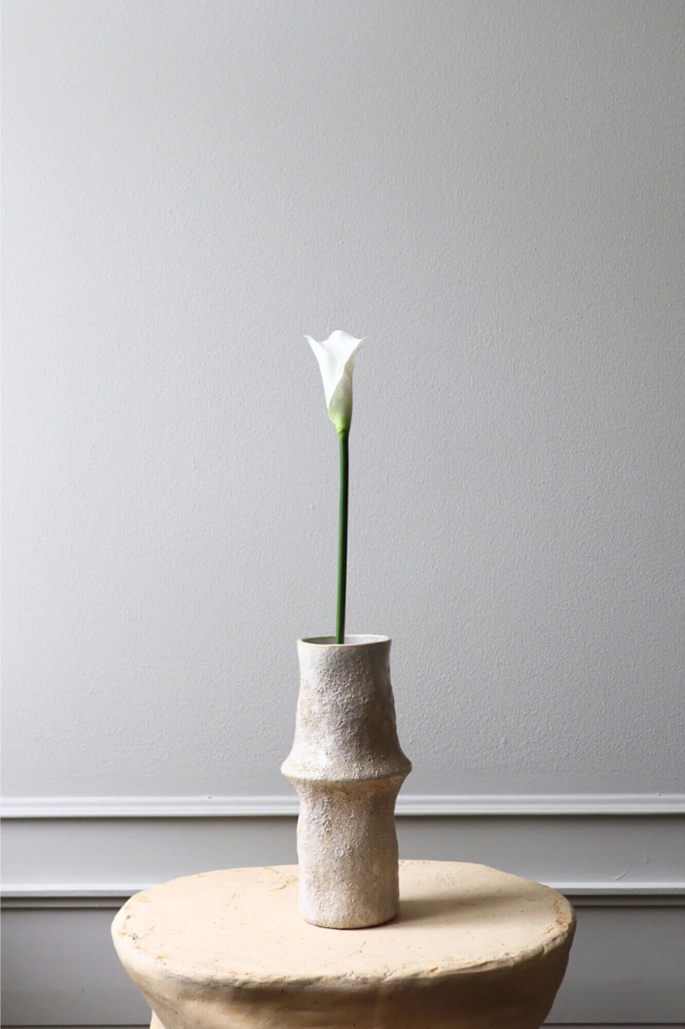 Botané  Calla Liljeblomst - hvid