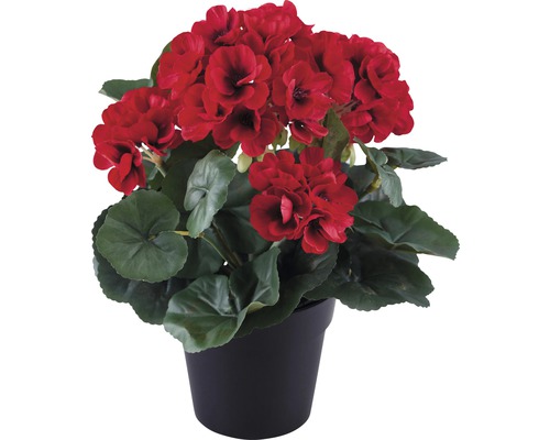 Kunstgeranium Lafiora in pot, 25cm hoog, rood