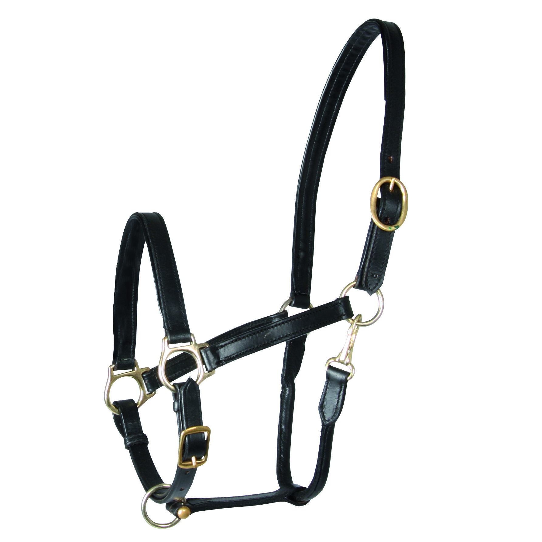 Waldhausen Halster Leder - Paard Halsters - Zwart - Full