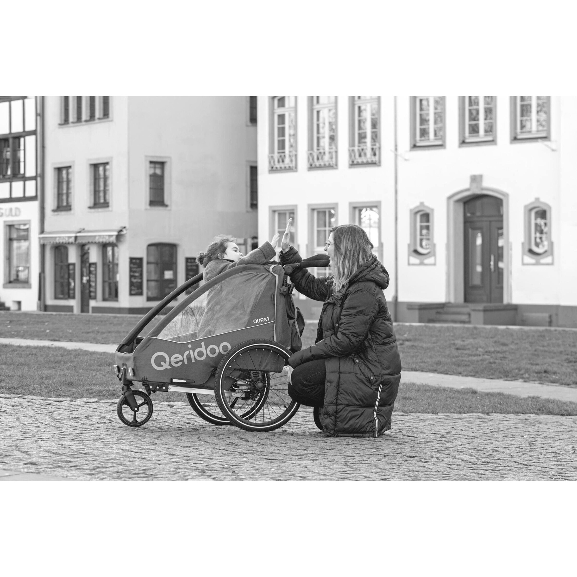 Qeridoo Fahrradanhänger QUPA 1 Blue