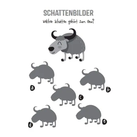 Coppenrath Verlag Such-Rätsel - Schattenbilder