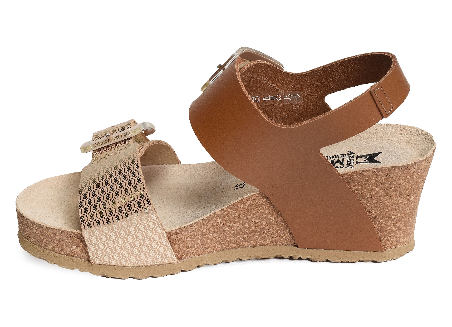 Lissia camel