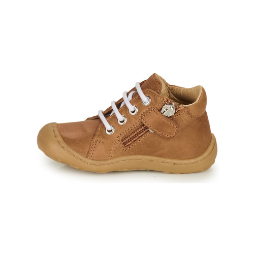 GBB - FREDDO - Cognac