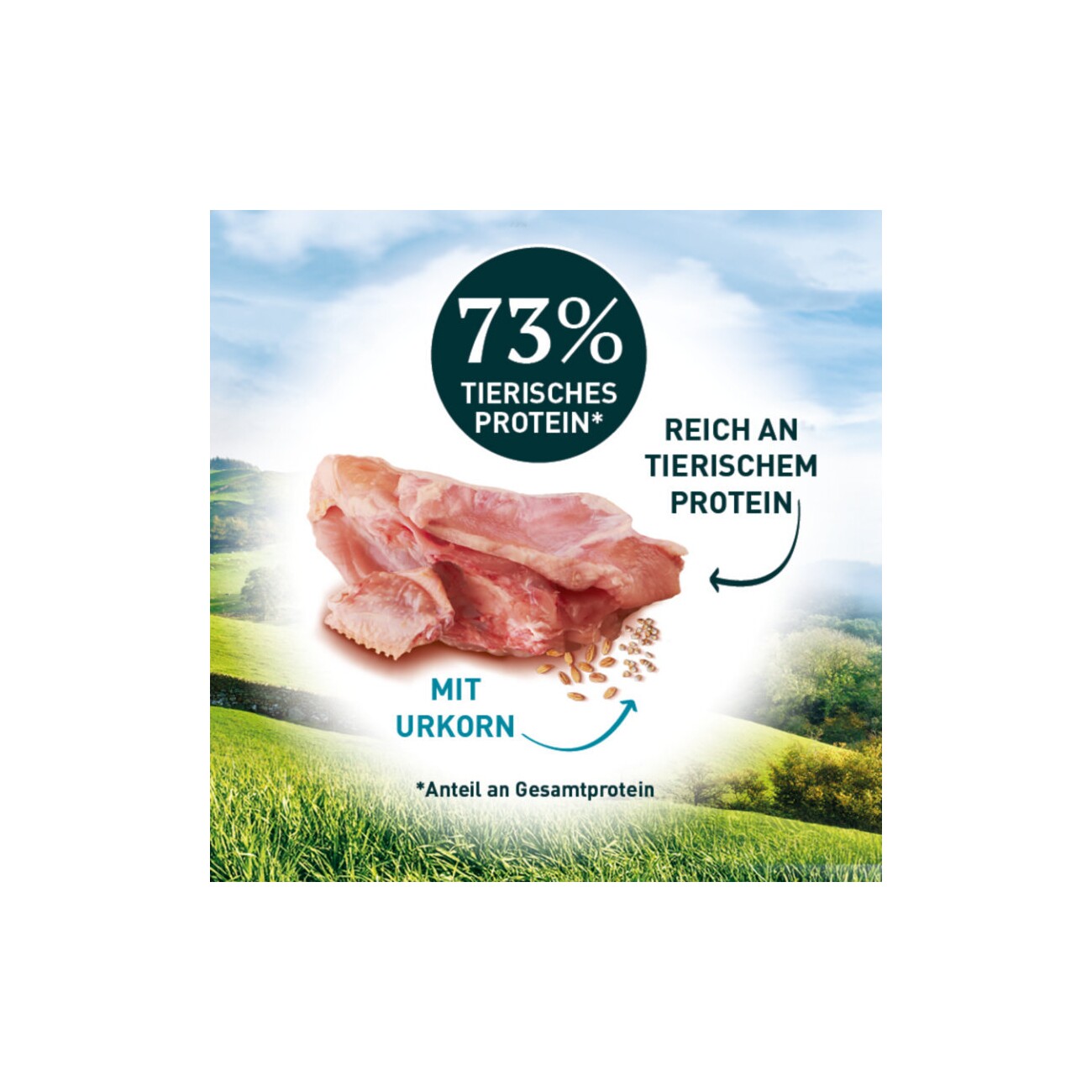 Purina ONE Wild Sense reich an Huhn 400 g