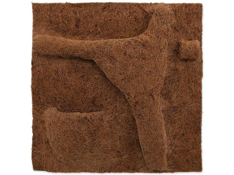 Repti Planet Coco Pflanzgefäss 50 x 50 cm Natürliche Rückwand mit integriertem Pflanzentopf