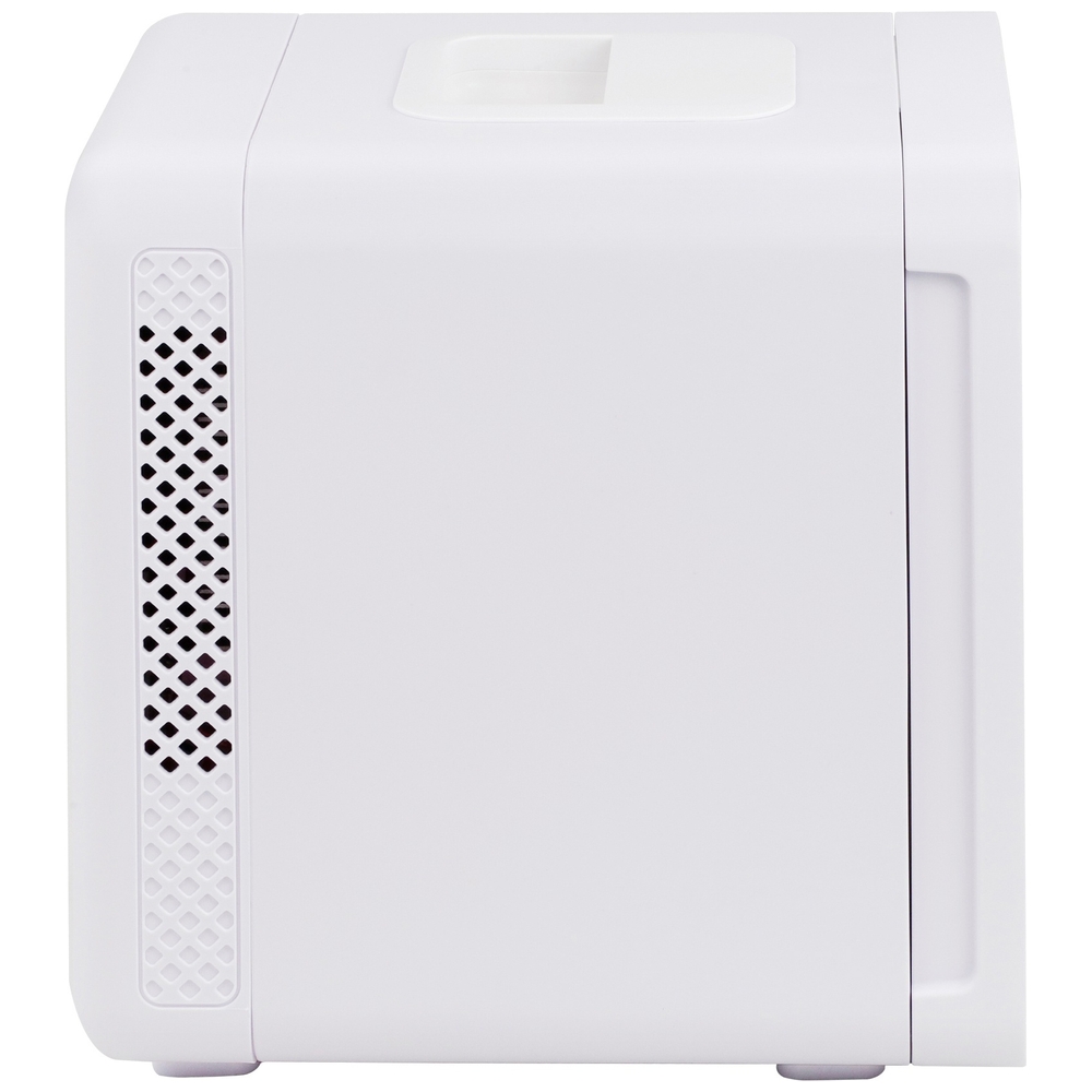 Picture Perfect Beauty Cooler 4 Liter