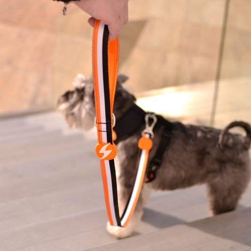 Guia para cães Dashi Stripes em poliéster laranja e preto