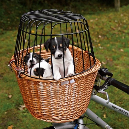 Cesta de transporte Trixie para cães e gatos.