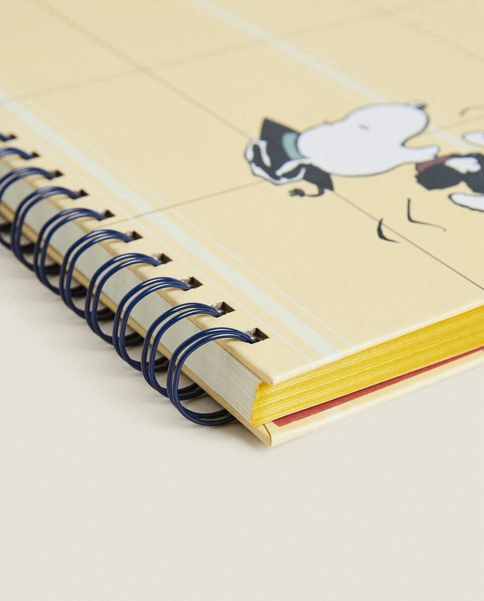 AMENDOIM? CADERNO