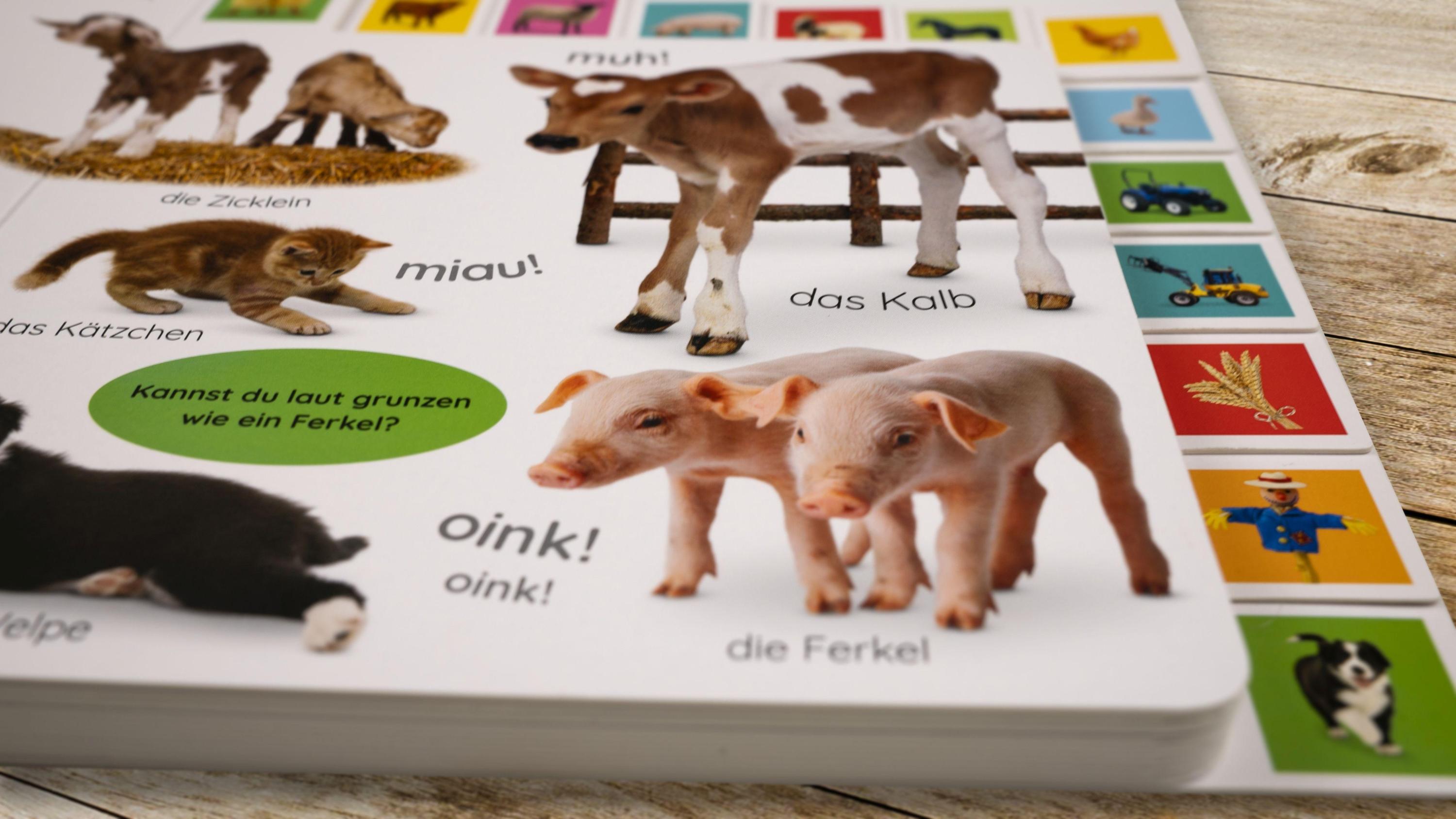 Erstes Lernen. Tierkinder