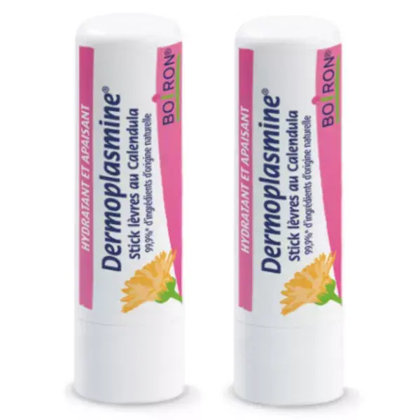 Dermoplasmine - Stick lèvres Lot de 2 x 4g
