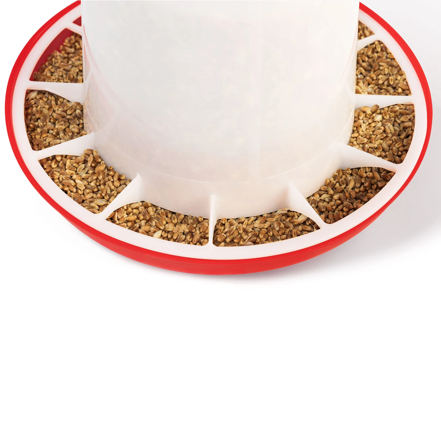 Lot mangeoire 3 KG et abreuvoir 3L pour poules et volailles