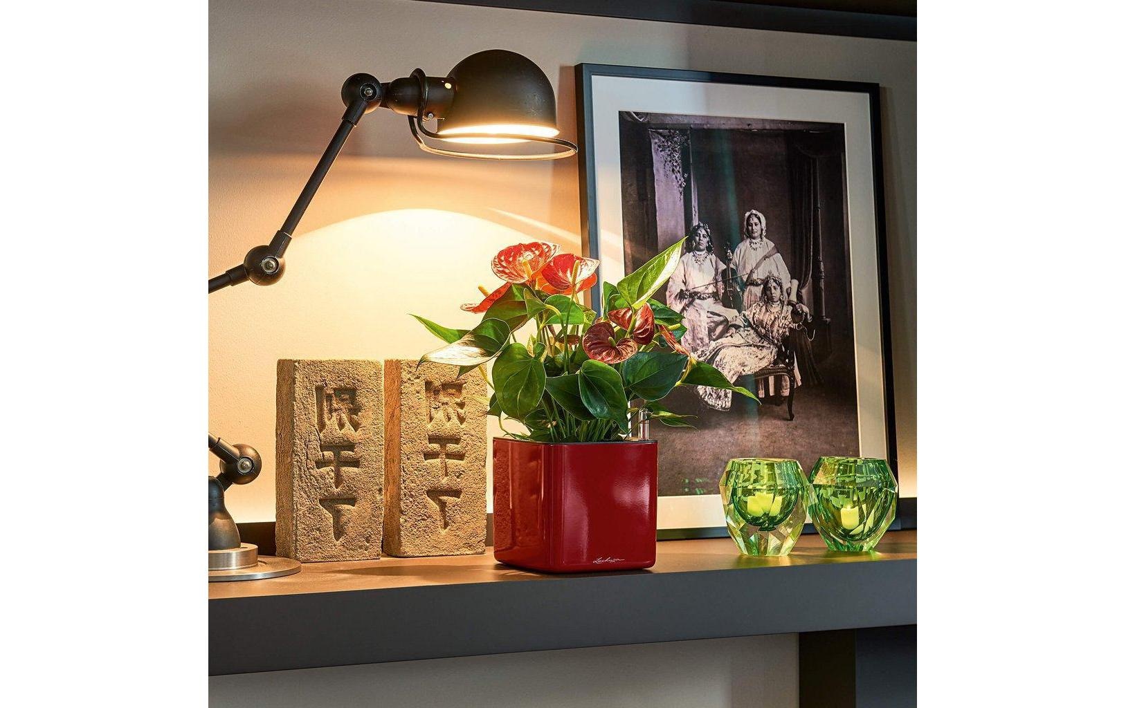 Blumentopf »Lechuza Pflanzentopf CUBE Glossy Ku« Material: Polycarbonat, Polypropylen