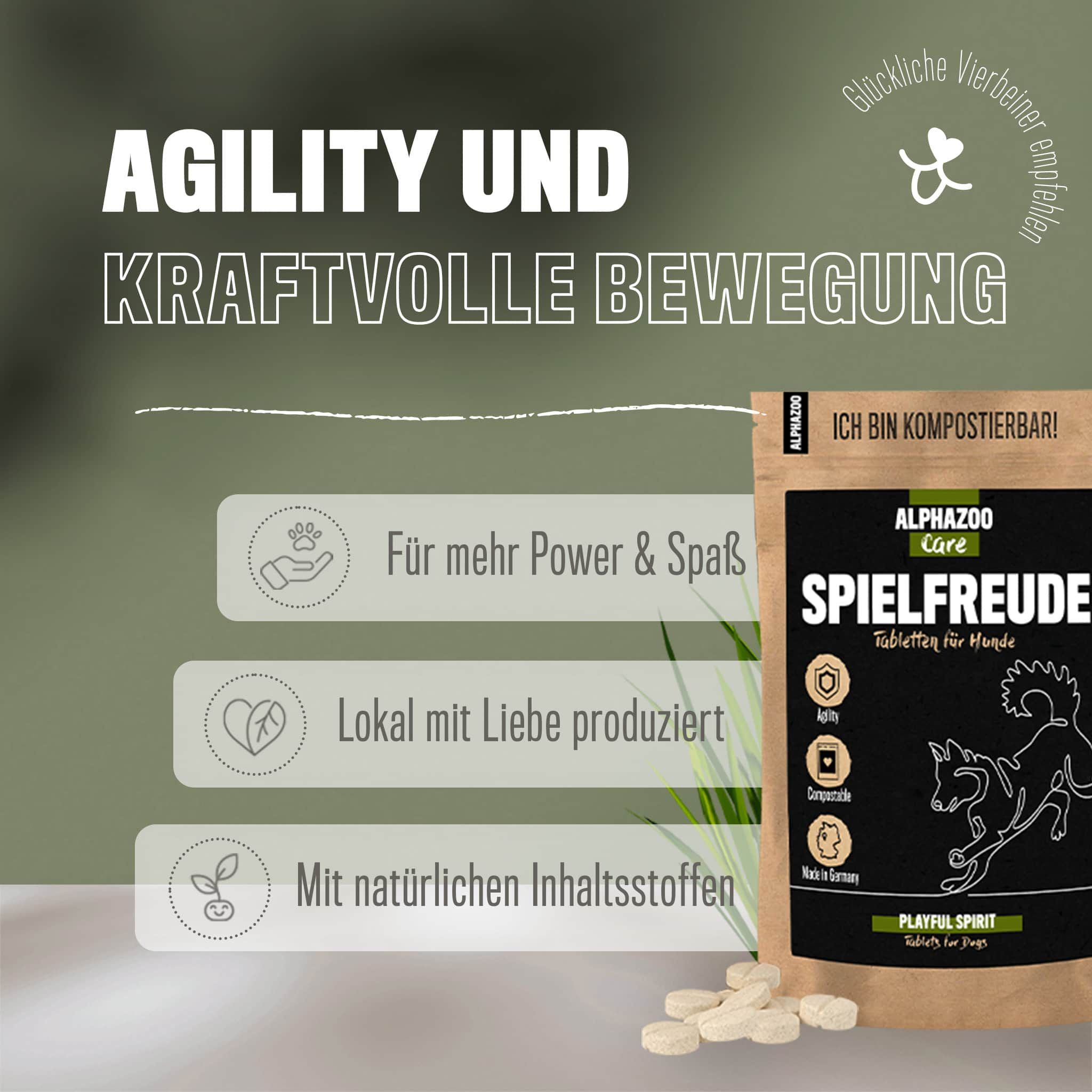 ALPHAZOO Spielfreude Tabletten für Hunde I Gelenktabletten mit Grünlippmuschel