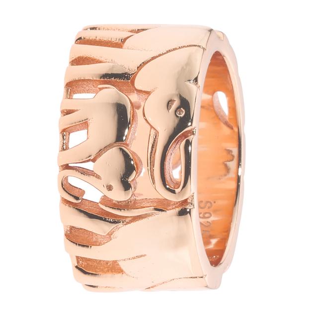 Band-Ring 