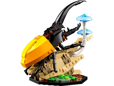 LEGO De insectencollectie (21342)