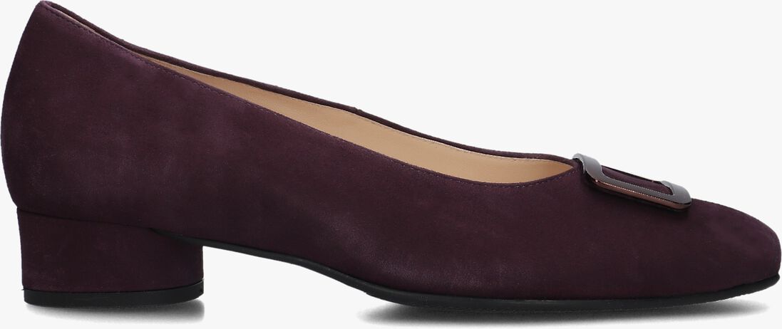 paarse hassia pumps 302627
