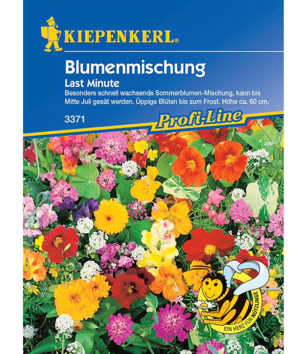 Blumenmischung 'Last Minute'