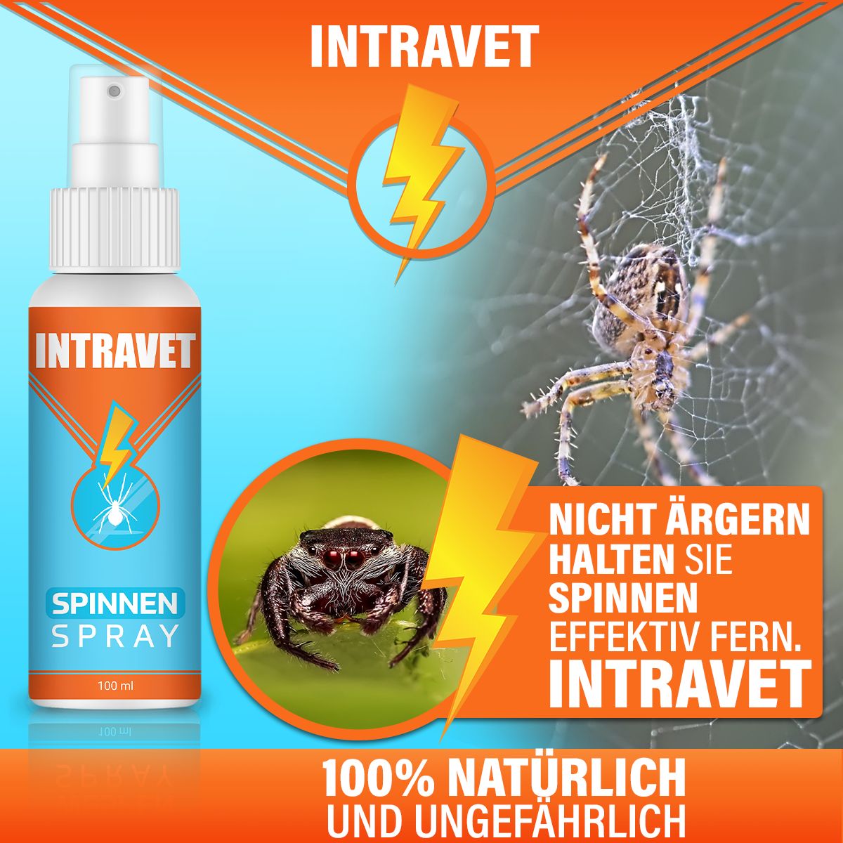 Intravet® | Spinnen Spray | Spinnenschutz