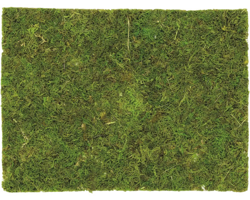 Mosbord 30x20 cm