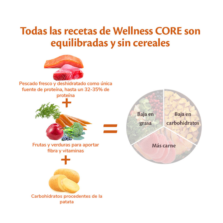 Ração para cães Wellness Core Adult de porte médio/grande, 1,8 kg, sabor salmão e atum do oceano.