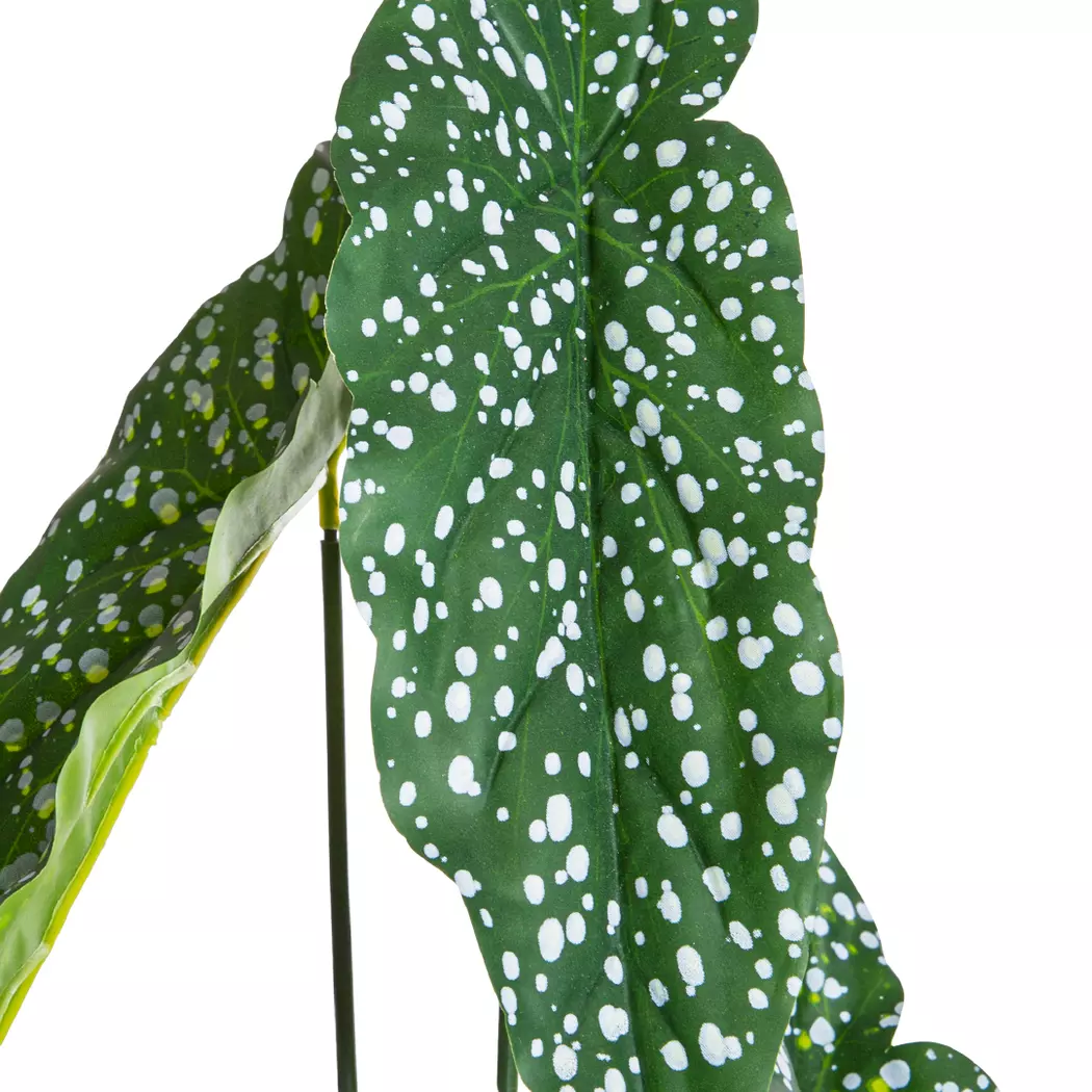 Kunstpflanze Alocasia