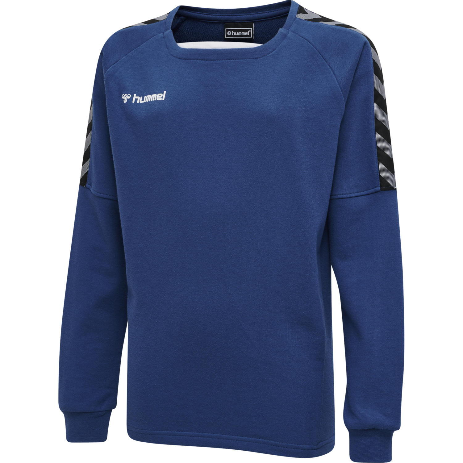hmlAUTHENTIC KIDS TRAINING SWEAT