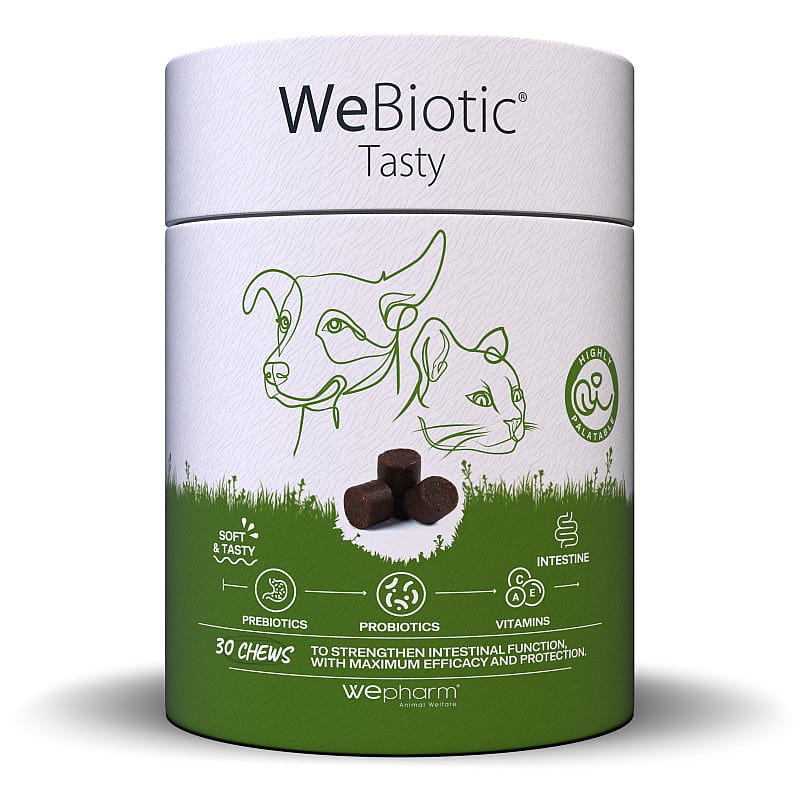 Wepharm WeBiotic Tasty 30 soft-chews | 15851