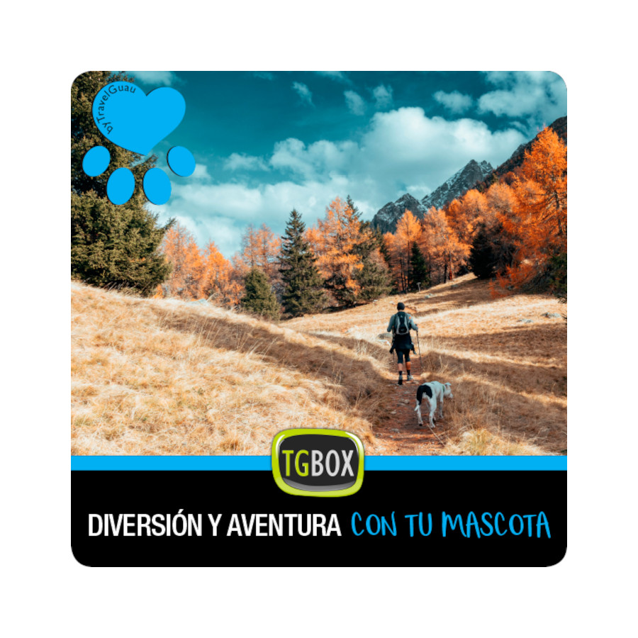 Tgbox Diversão e aventura com seu animal de estimação