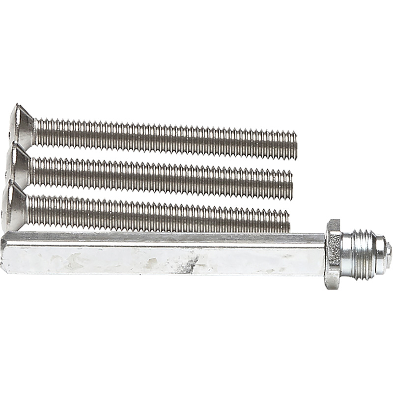 AXA wisselstift RVS + bouten M6x52mm