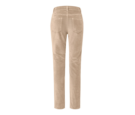 Samthose, camel