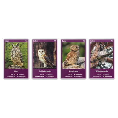 Naturquartett Heimische Vögel