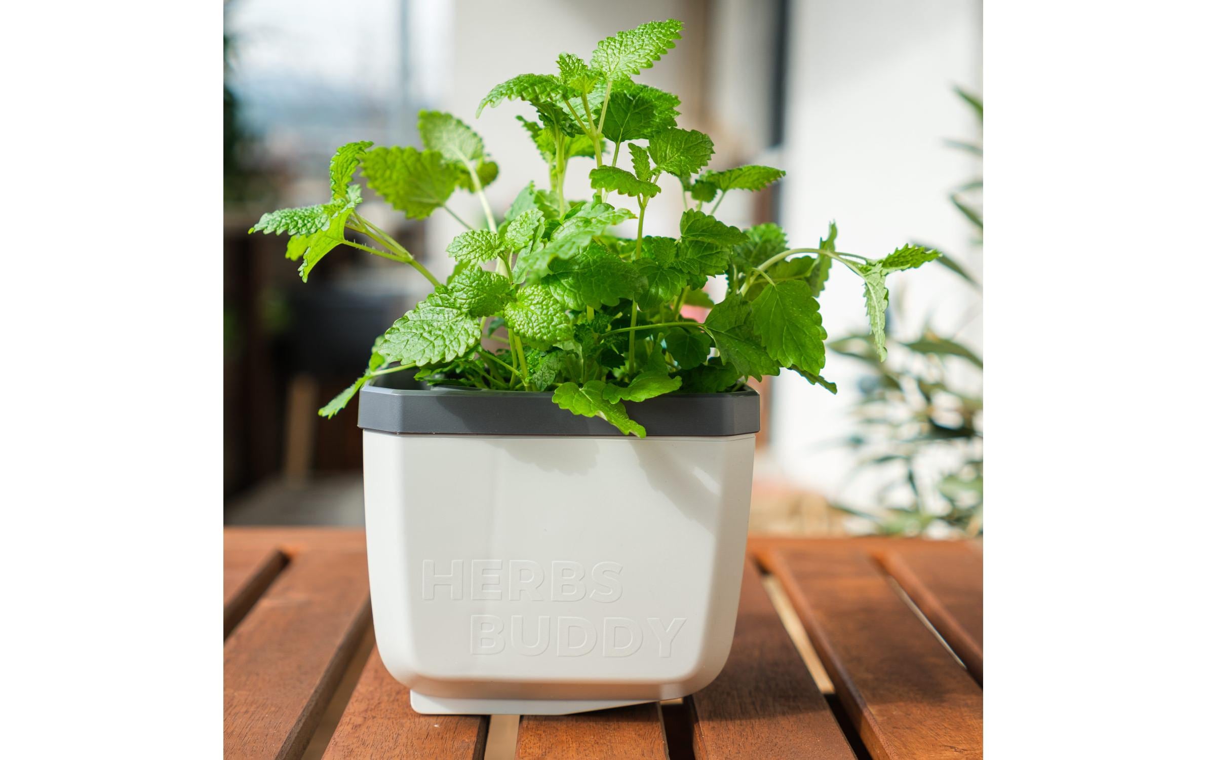 HERBS BUDDY Kräutertopf Grau/HellgrauKräutertopf mit Wasserreservoir und Kippfunktion