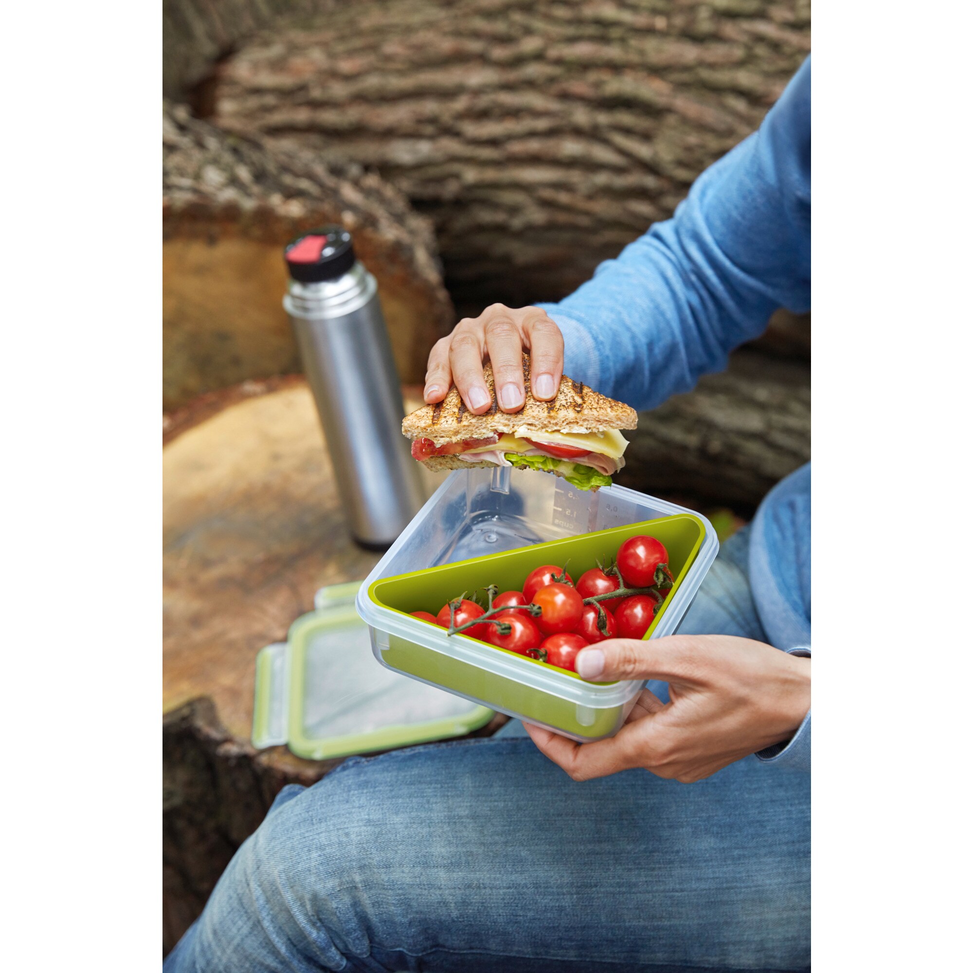 Emsa Lunch-Box CLIP & GO Sandwichbox 0,85 Liter