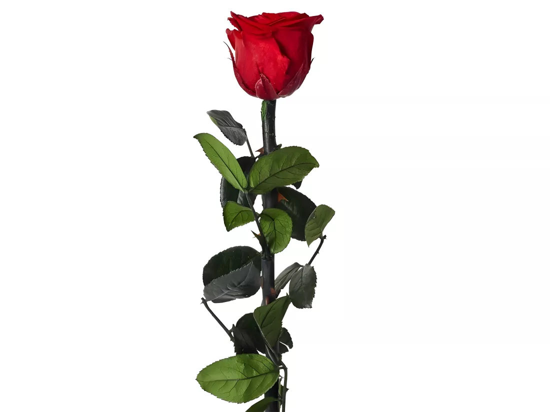 Rose Artificielle Sur Tige 30cm 4 4