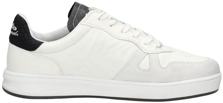 Lotto Leggenda Signature wit