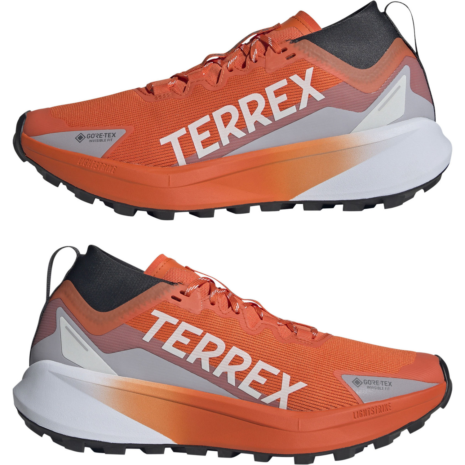 adidas Terrex Agravic GTX Heren