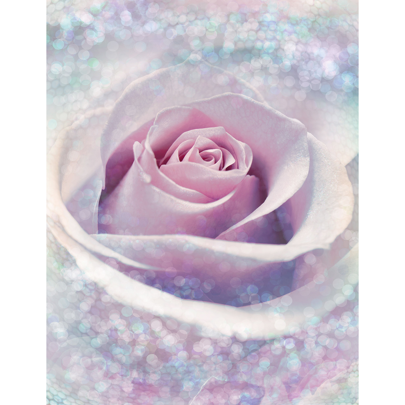 Vlies-Fototapete DELICATE ROSE - weiß-blau-rosa - 200x260 cm