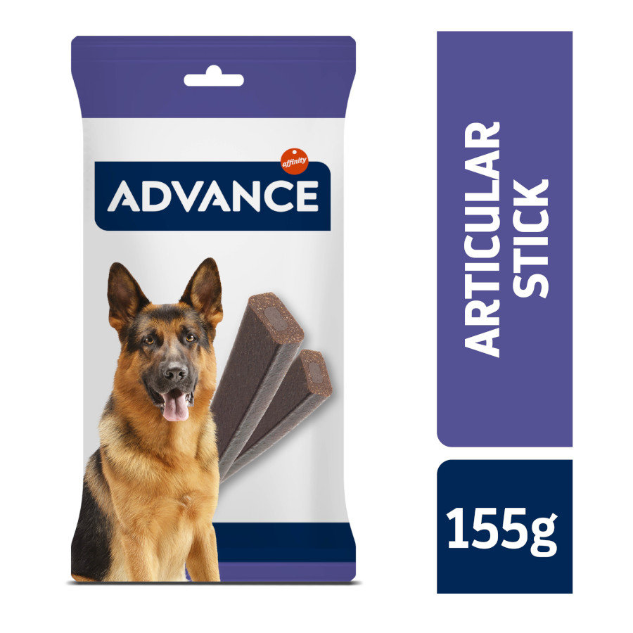 Bastão articular avançado para cães