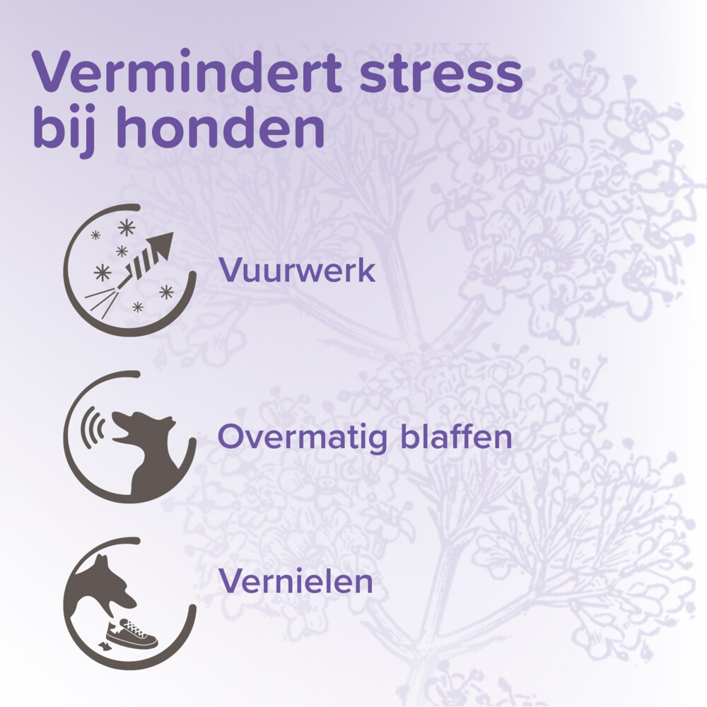 Beaphar No Stress Hond Spot On3 pipetten