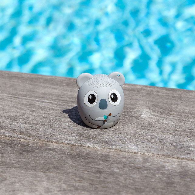 Mini enceinte bluetooth - Sing song