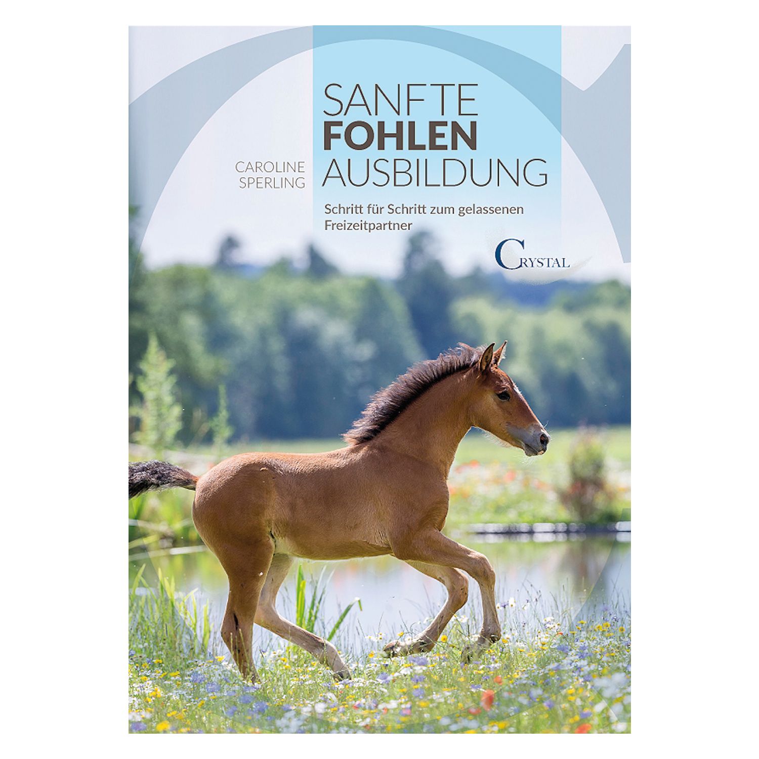 Sanfte Fohlenausbildung