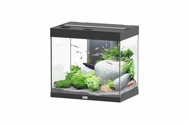 Aquatlantis Splendid 60 aquarium | Inclusief LED en filter