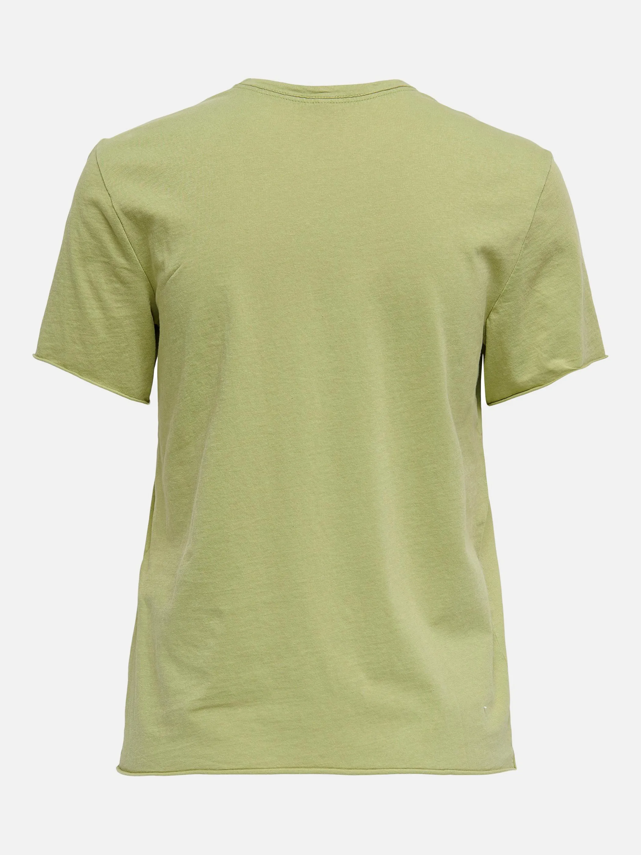 Only ONLLUCY REG S/S FLOWE T-Shirt