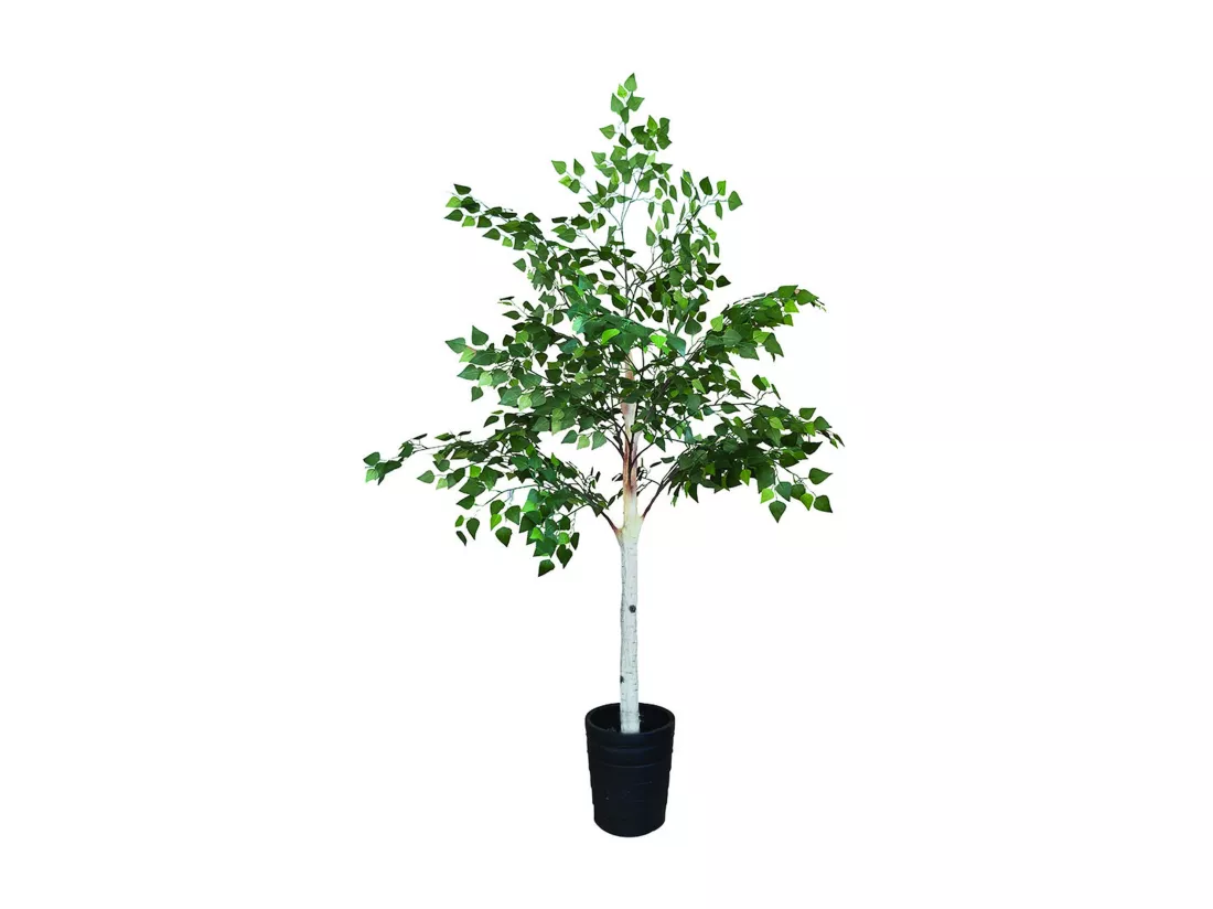 Now's Home - Bouleau Artificiel Avec Pot Noir Pour Interieur Fray