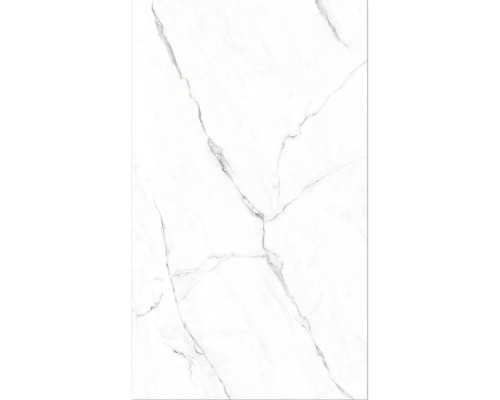 BREUER wit marmeren douchewandpaneel 255 x 100 cm 9482549000203