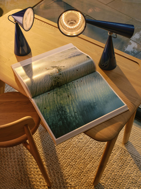 Tom Dixon Pose Portable tafellamp LED Kelp