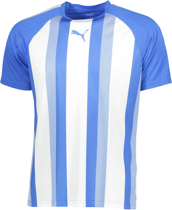 Puma Teamliga Striped T-shirt Blå